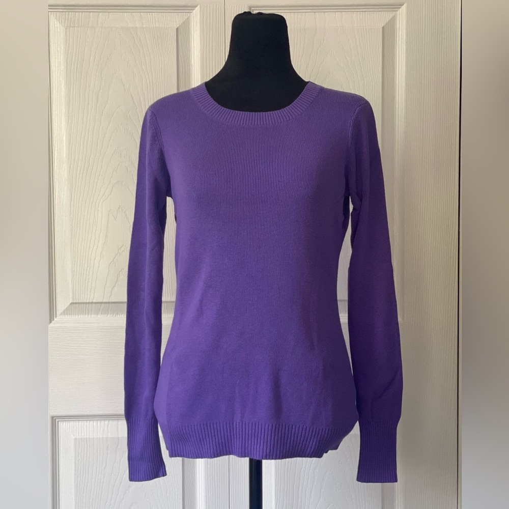 Express Fitted Sweater Lavender Color